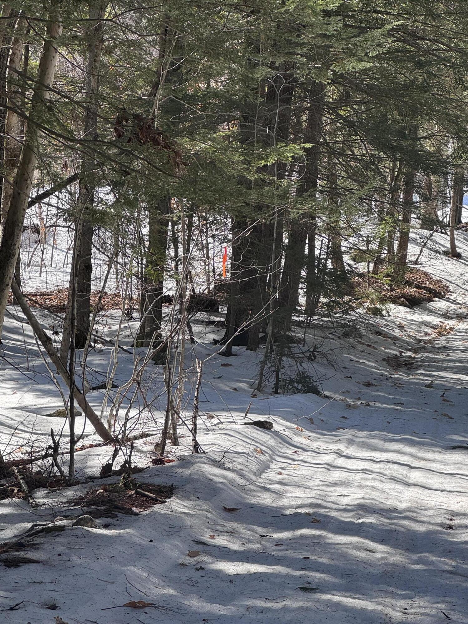 Lot #10 Goose Pond Road