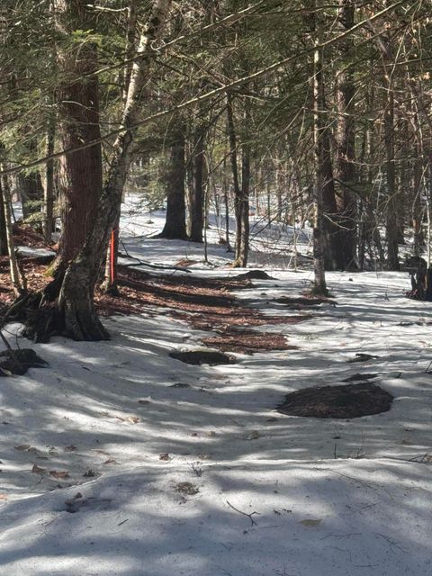 Photo of 0 Lakeside Drive, Windham, ME 04062 (MLS # 1655720)