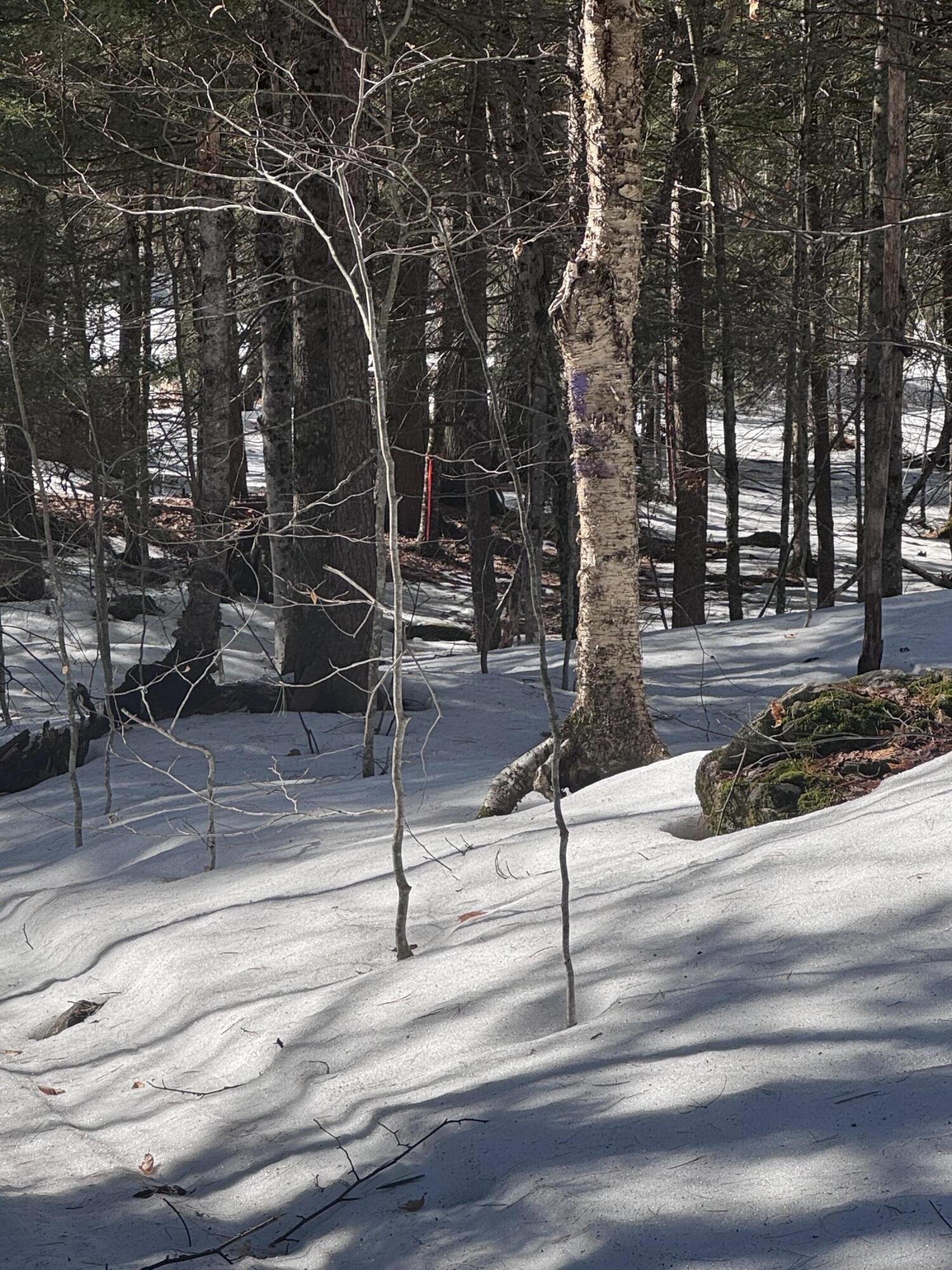 Lot #10 Goose Pond Road