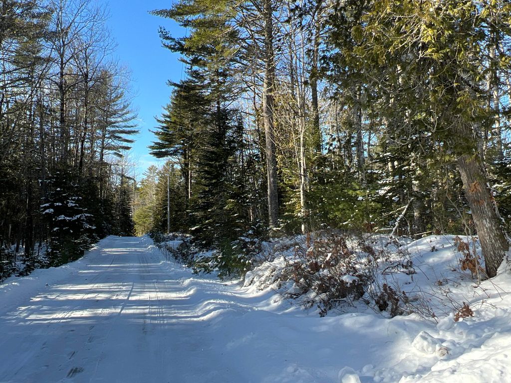 Photo of lot 21-10 Toddy Drive, Penobscot, ME 04476 (MLS # 1648668)