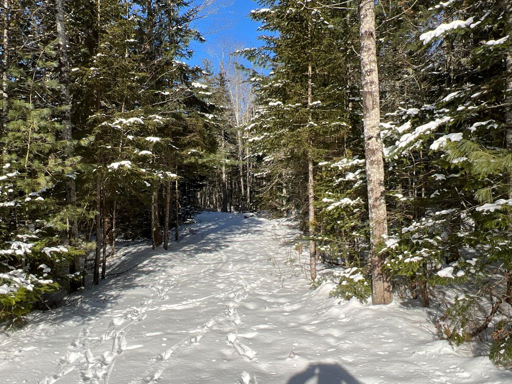 Photo of lot 21-10 Toddy Drive, Penobscot, ME 04476 (MLS # 1648668)