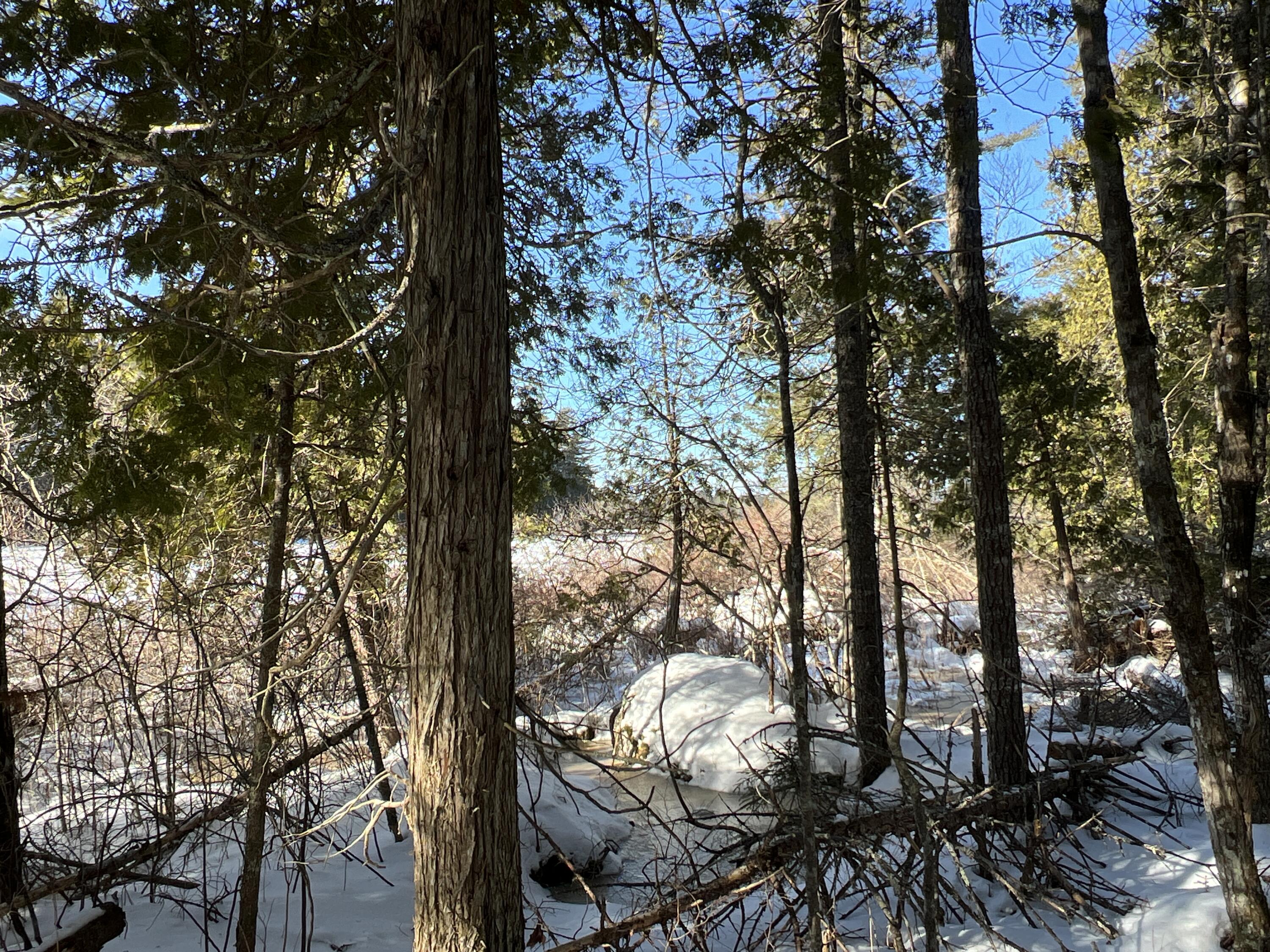 lot 21-10 Toddy Drive