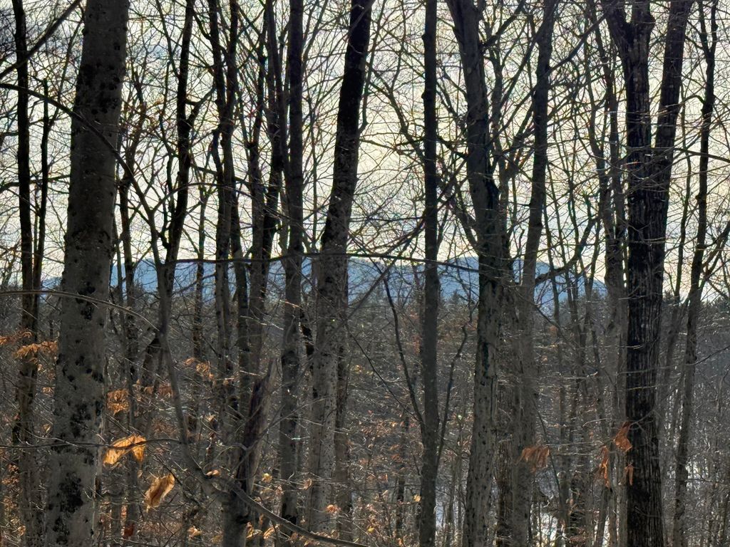 Photo of Lot 15-3A Sweden Road, Bridgton, ME 04009 (MLS # 1649256)