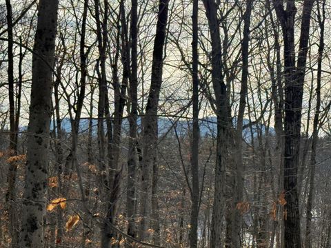 Photo of Lot 15-3A Sweden Road, Bridgton, ME 04009 (MLS # 1649256)