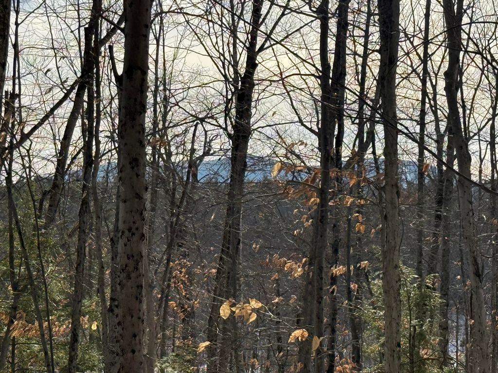 Photo of Lot 15-3A Sweden Road, Bridgton, ME 04009 (MLS # 1649256)