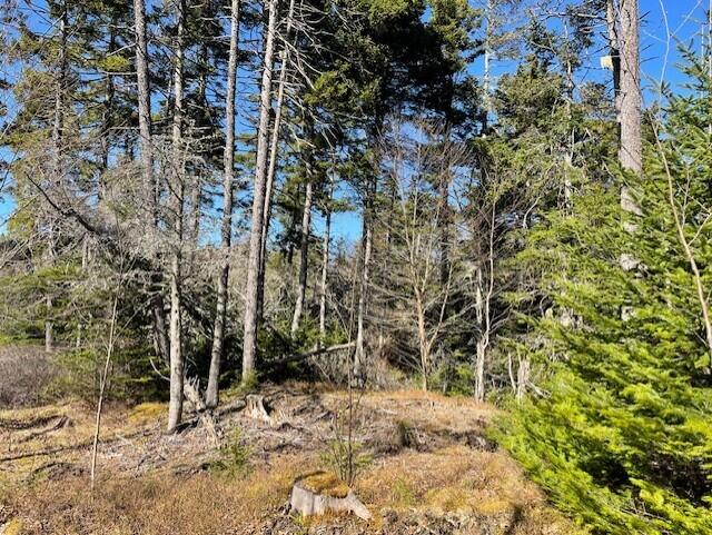 Photo of 9 Rockledge Road, South Thomaston, ME 04858 (MLS # 1660208)