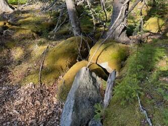 Photo of 9 Rockledge Road, South Thomaston, ME 04858 (MLS # 1660208)