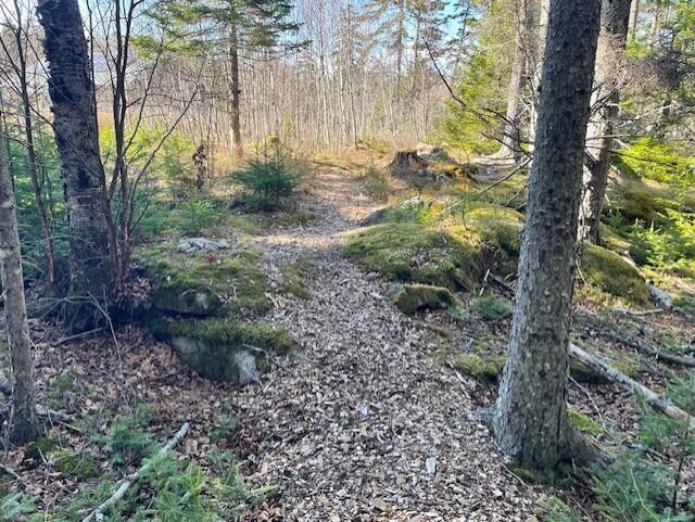 Photo of 9 Rockledge Road, South Thomaston, ME 04858 (MLS # 1660208)