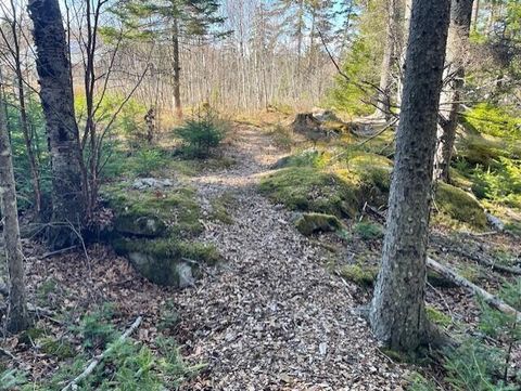 Photo of 9 Rockledge Road, South Thomaston, ME 04858 (MLS # 1660208)