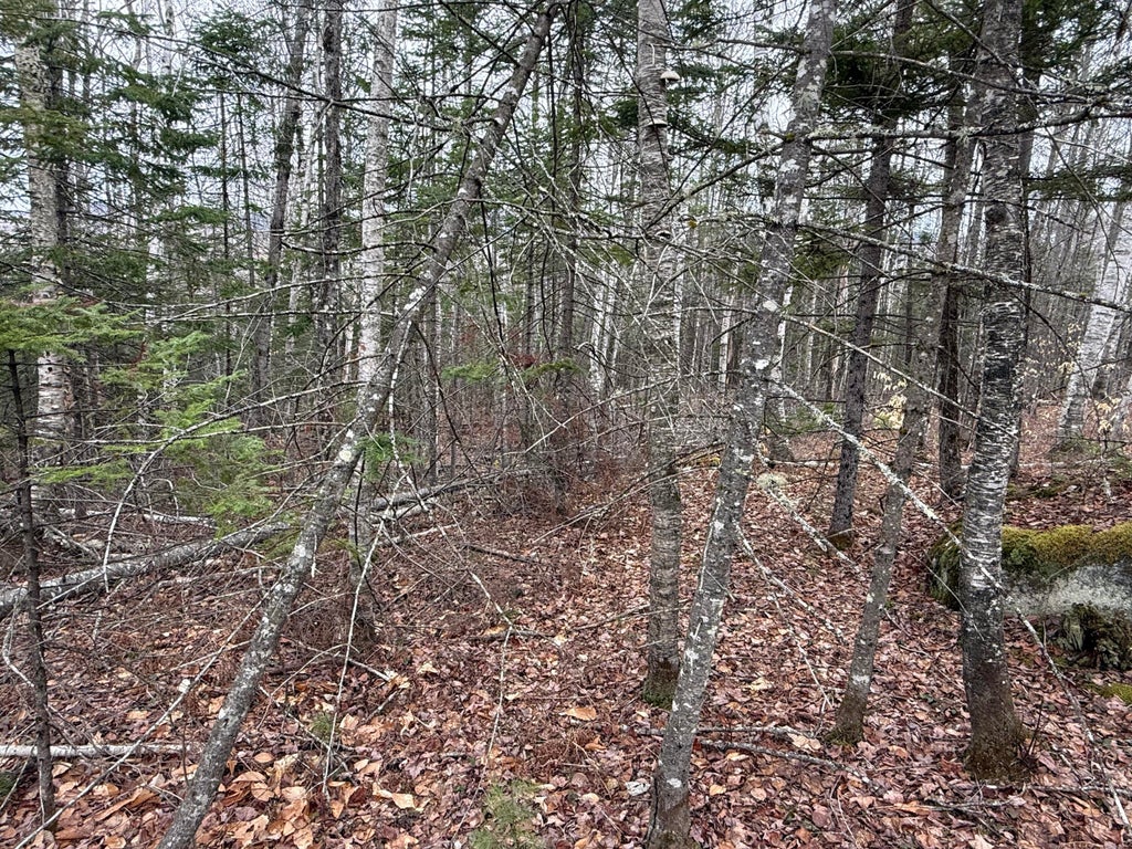 Photo of L12 Fuller Road, Carthage, ME 04224 (MLS # 1658588)
