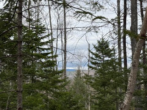 Photo of L12 Fuller Road, Carthage, ME 04224 (MLS # 1658588)