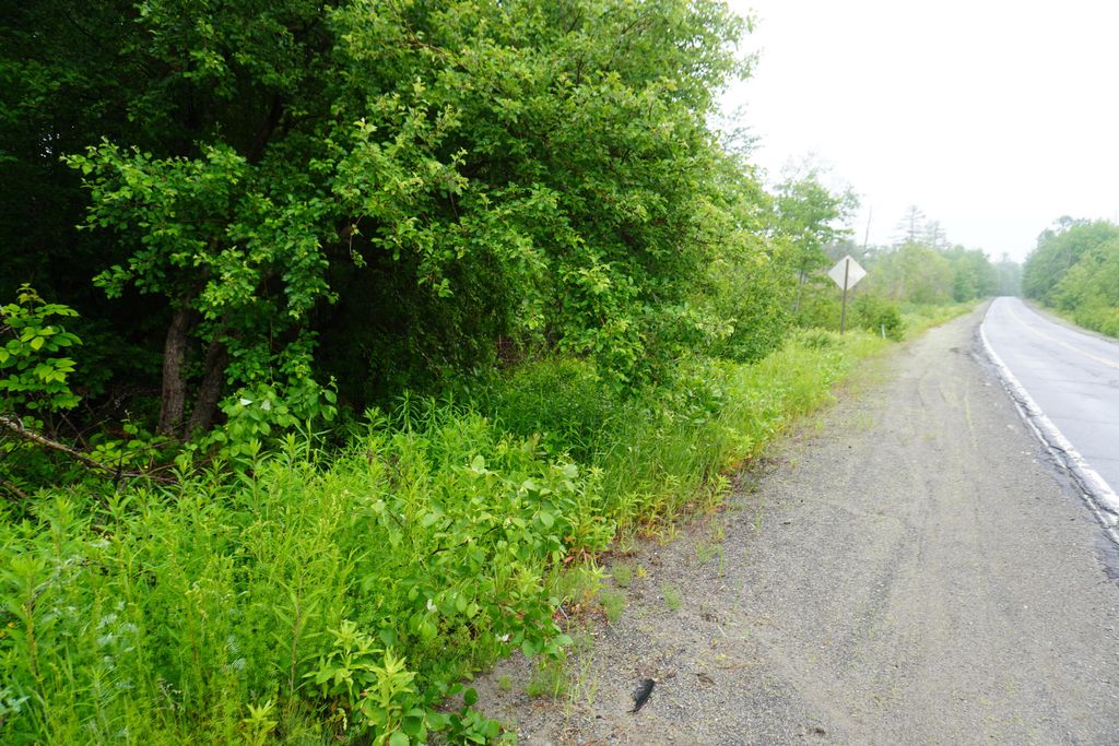 Photo of Lot 54.1 Lyford Road, Orneville Twp, ME 04463 (MLS # 1651290)