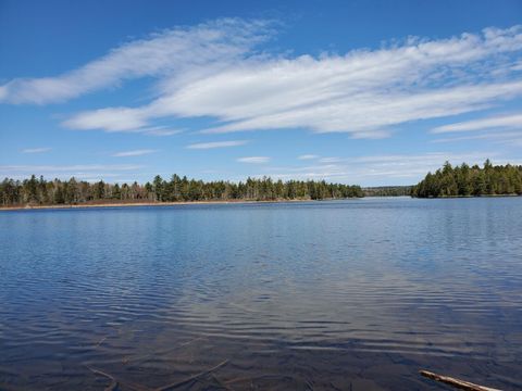 Photo of 1.3 ac Off Barrows Lake Road, Alexander, ME 04694 (MLS # 1652198)