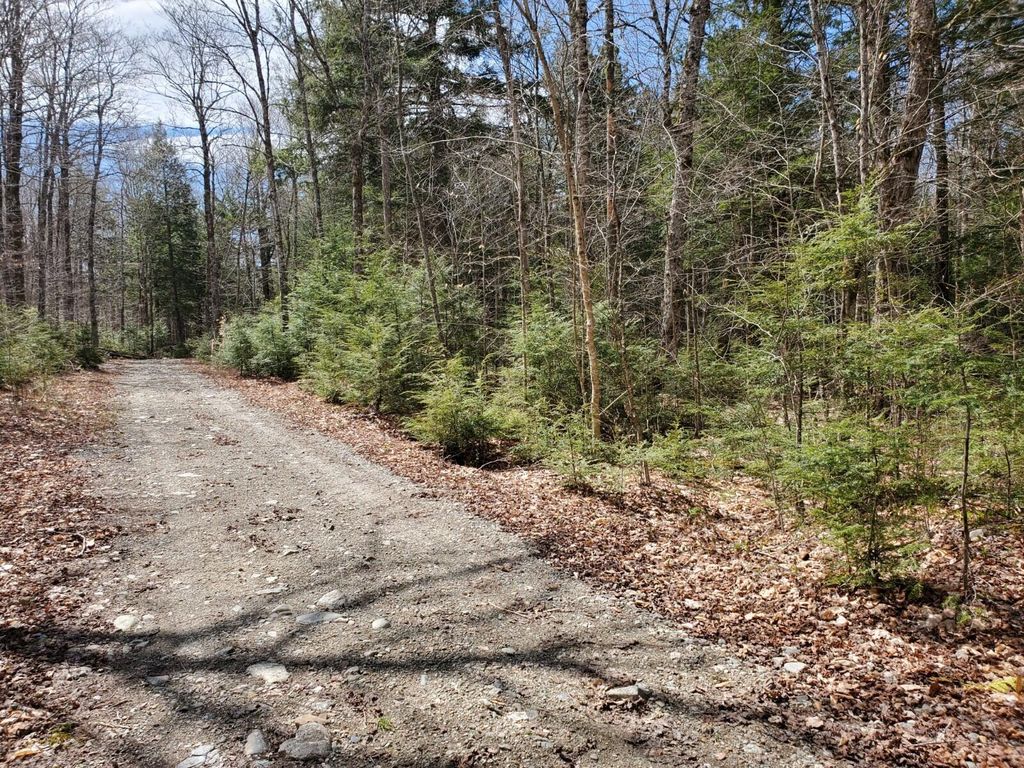 Photo of 1.3 ac Off Barrows Lake Road, Alexander, ME 04694 (MLS # 1652198)
