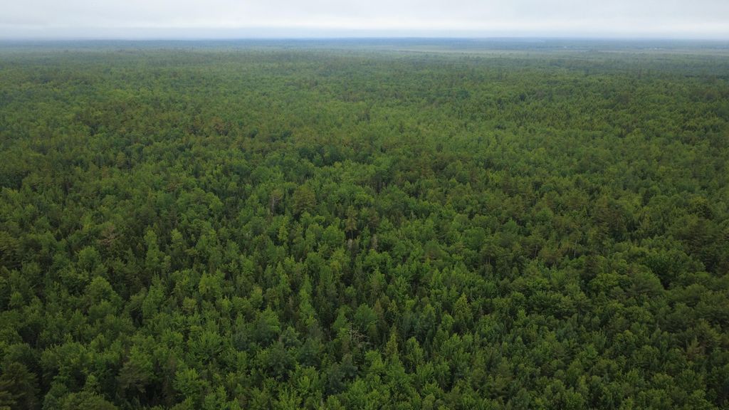 Photo of Lot 27.3 Southgate Road, Argyle Twp, ME 04468 (MLS # 1652752)