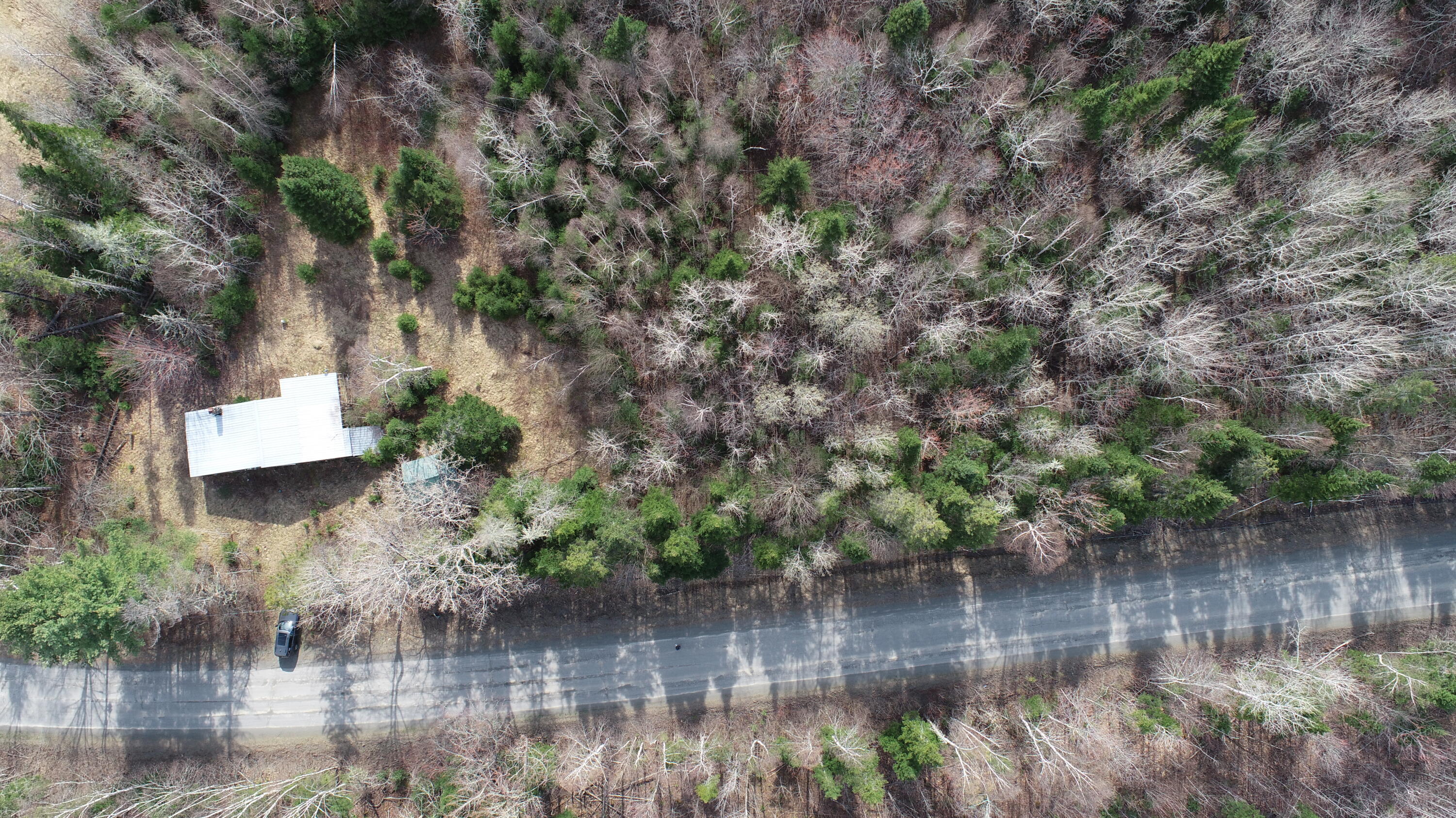 82 Smyrna Center Road