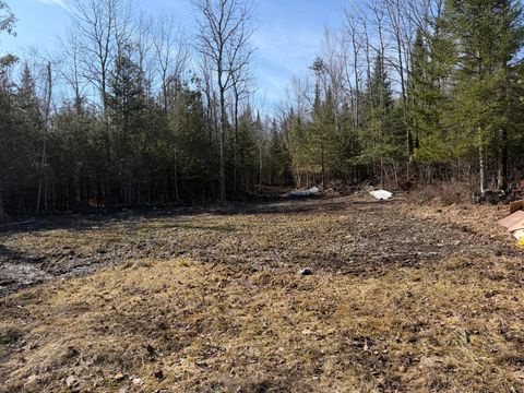 Photo of 358 Puddledock Road, Charleston, ME 04422 (MLS # 1658925)