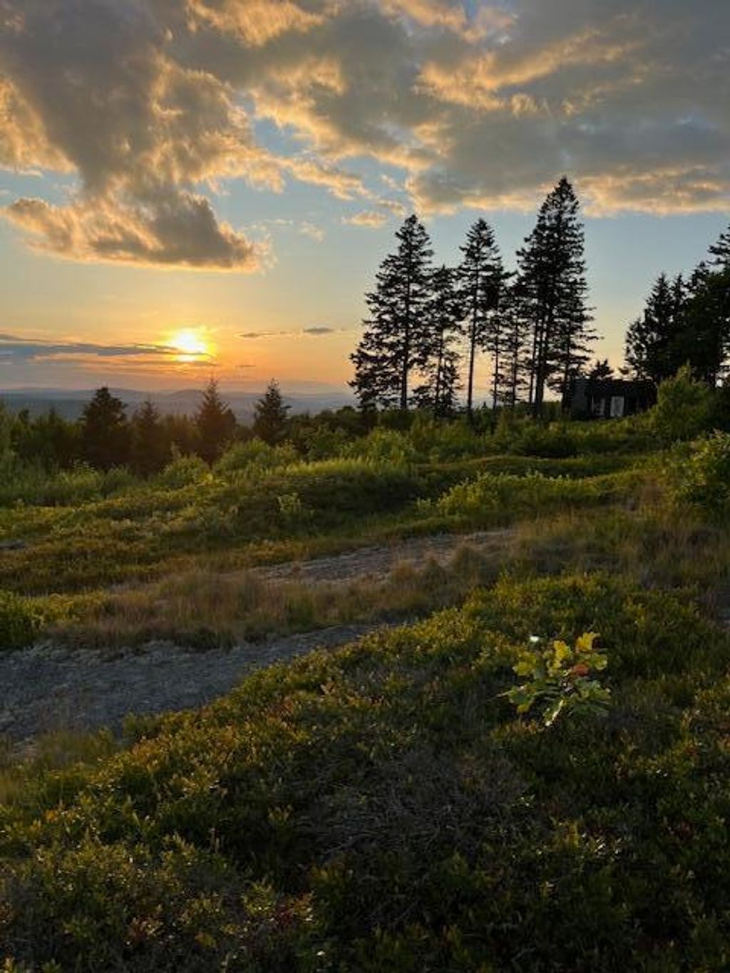 Photo of 533 Mount Ephraim Map 4 Lot 63 Road, Searsport, ME 04974 (MLS # 1649362)