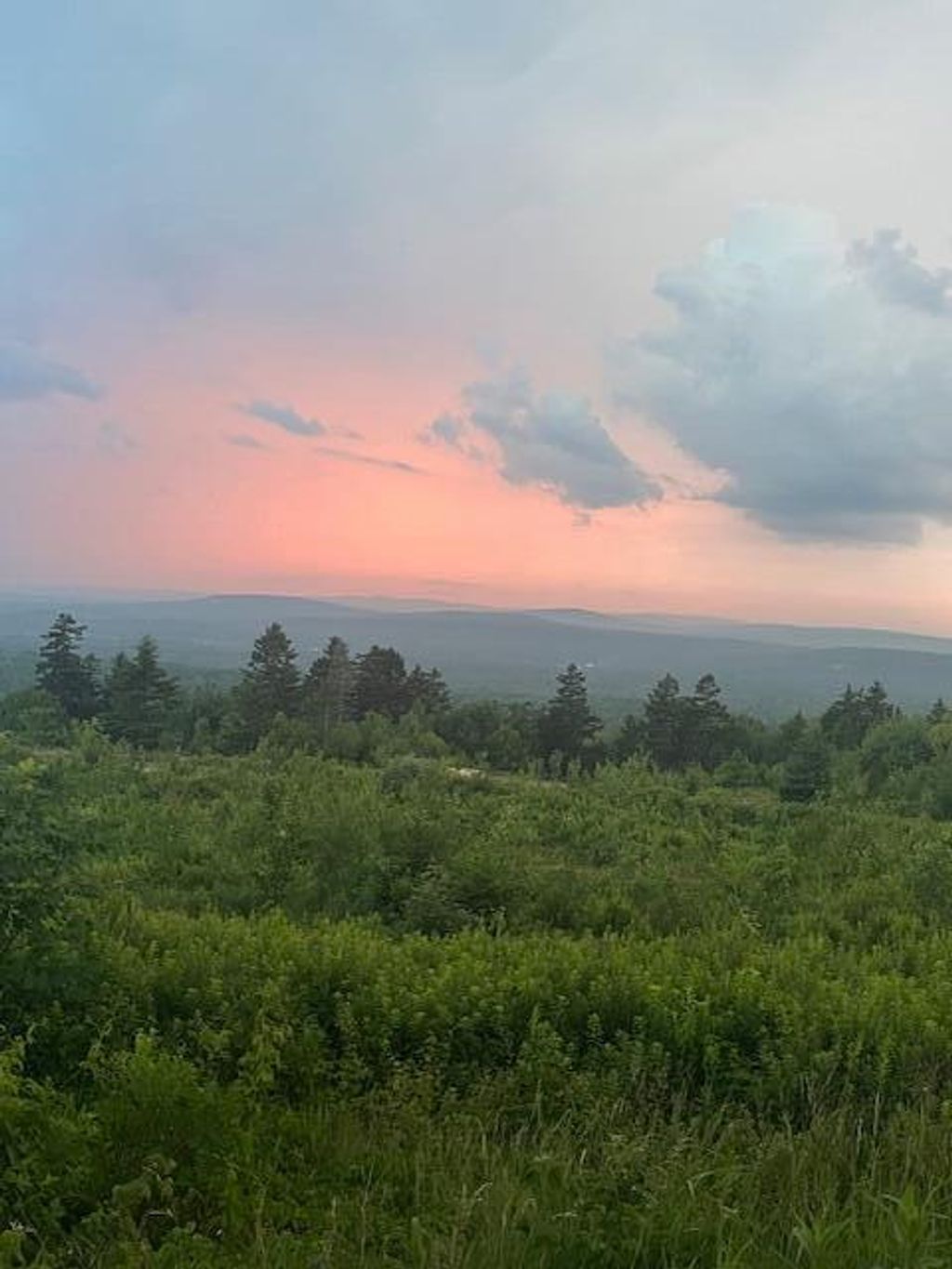 Photo of 533 Mount Ephraim Map 4 Lot 63 Road, Searsport, ME 04974 (MLS # 1649362)