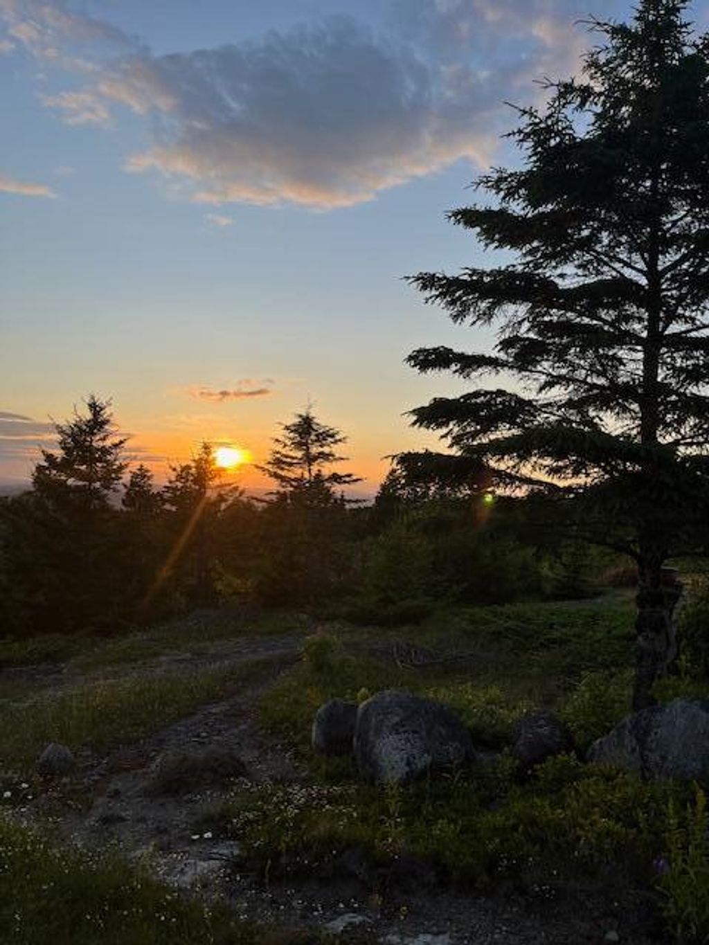 Photo of 533 Mount Ephraim Map 4 Lot 63 Road, Searsport, ME 04974 (MLS # 1649362)