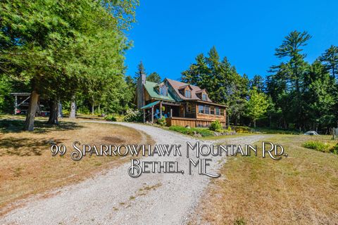Photo of 99 Sparrowhawk Mountain Road, Bethel, ME 04217 (MLS # 1635283)