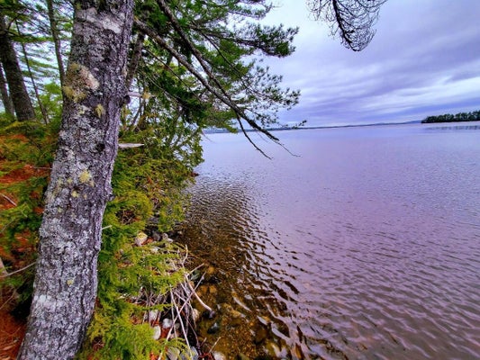 JESSIE LN, SULLIVAN, ME 04664 - Image cdc8b2506aeec4c353934f8a6190e46a/1432634052