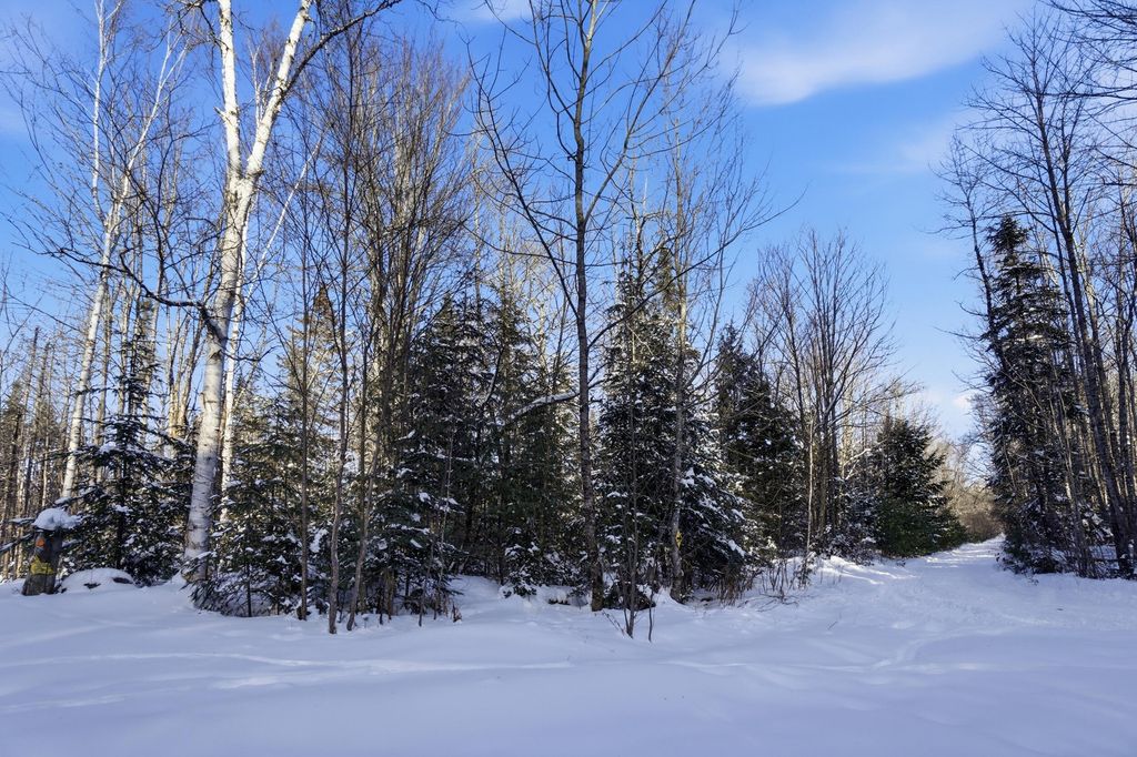 Photo of 082-006 Town Farm Road, Lincoln, ME 04457 (MLS # 1650770)