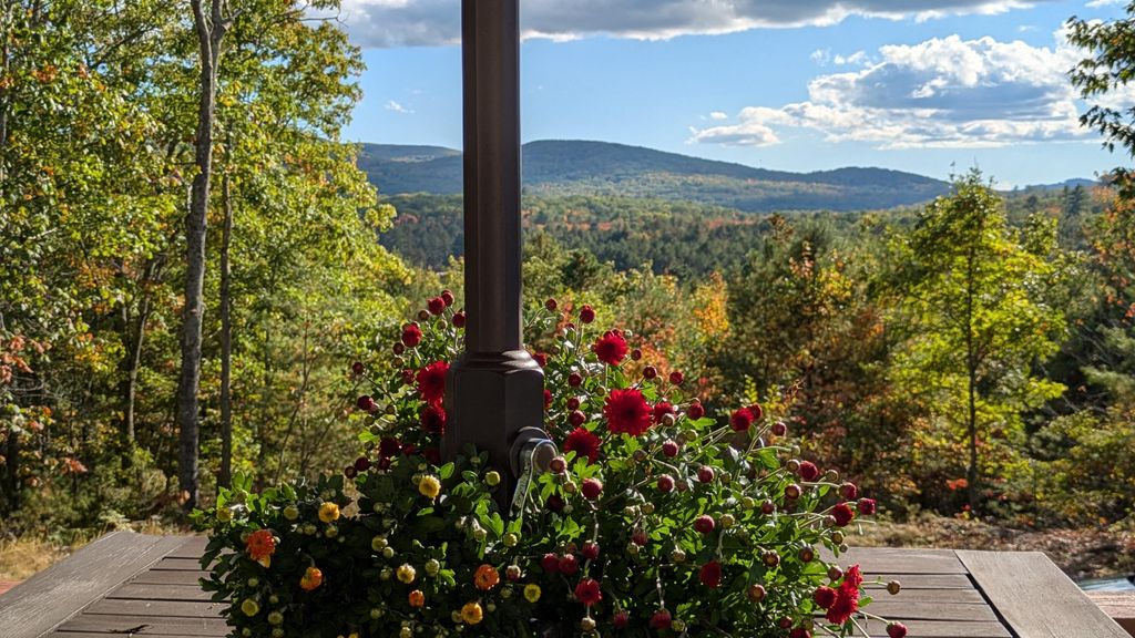 Photo of 15 Promised Land Drive, Brownfield, ME 04010 (MLS # 1639094)