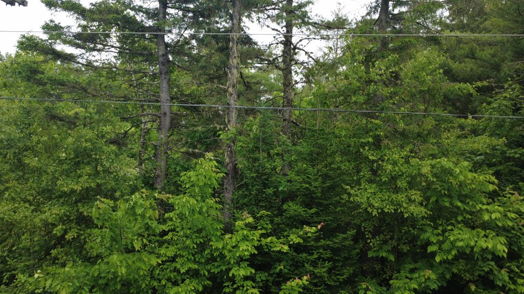 Photo of Lot 6.3 Houlton Road, Brookton Twp, ME 04413 (MLS # 1660493)