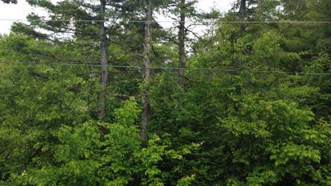 Tiny photo for Lot 6.3 Houlton Road, Brookton Twp, ME 04413 (MLS # 1660493)