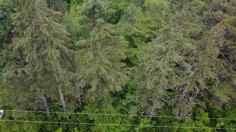 Tiny photo for Lot 6.3 Houlton Road, Brookton Twp, ME 04413 (MLS # 1660493)
