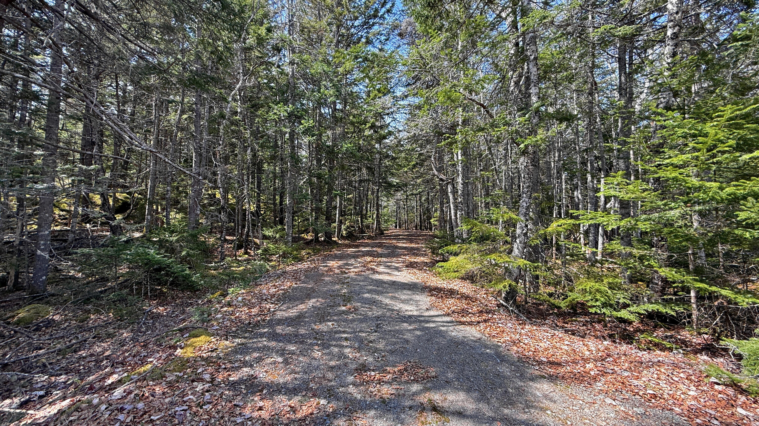 185 Coffins Neck Road