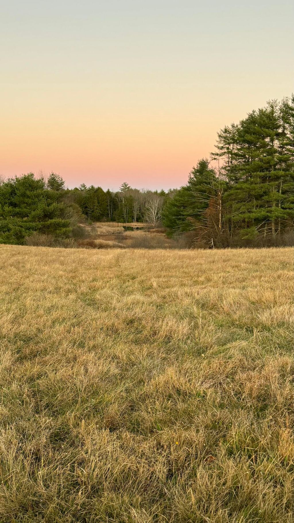 Photo of Lot #13 Johnson Farm Road, Buxton, ME 04093 (MLS # 1639198)