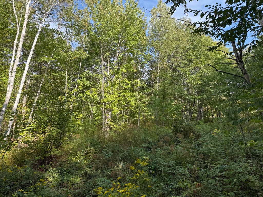 Photo of 15 Moose Trail Drive, Waltham, ME 04605 (MLS # 1652188)