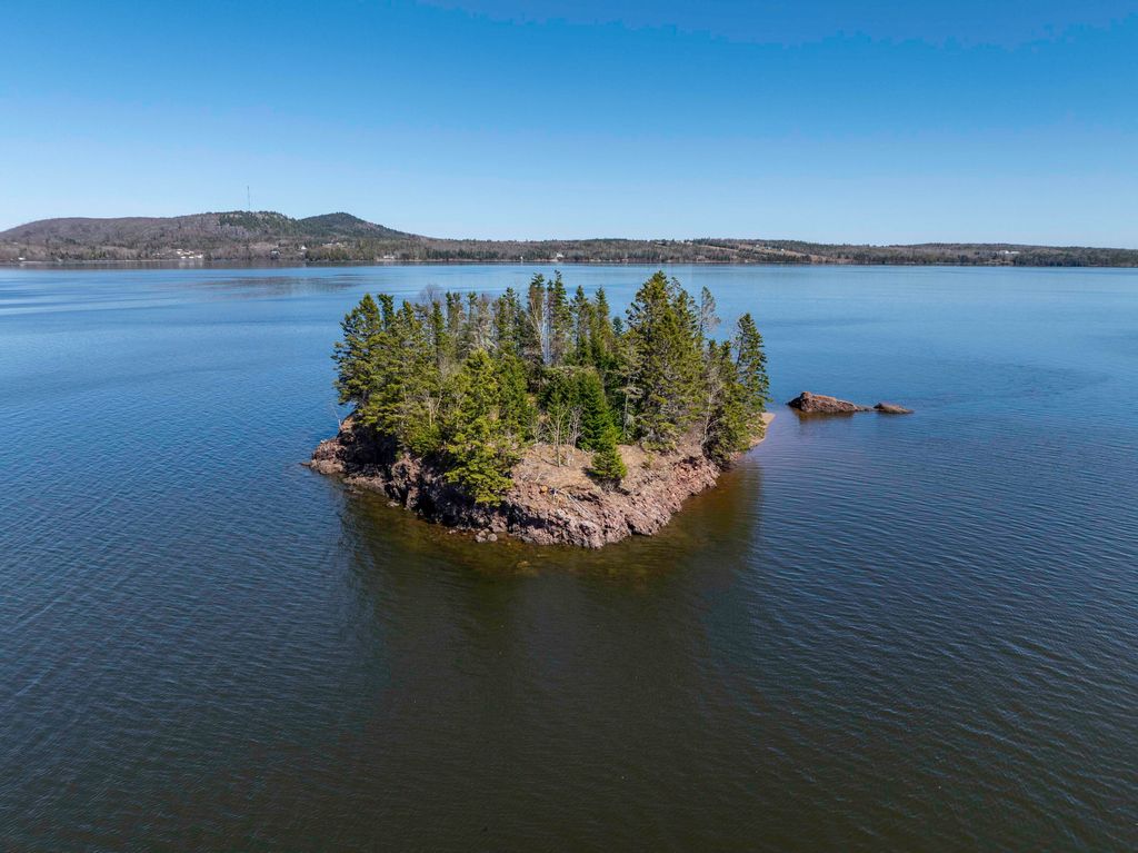 Photo of Map3Lot57 Little Doucet Island, Robbinston, ME 04671 (MLS # 1648916)