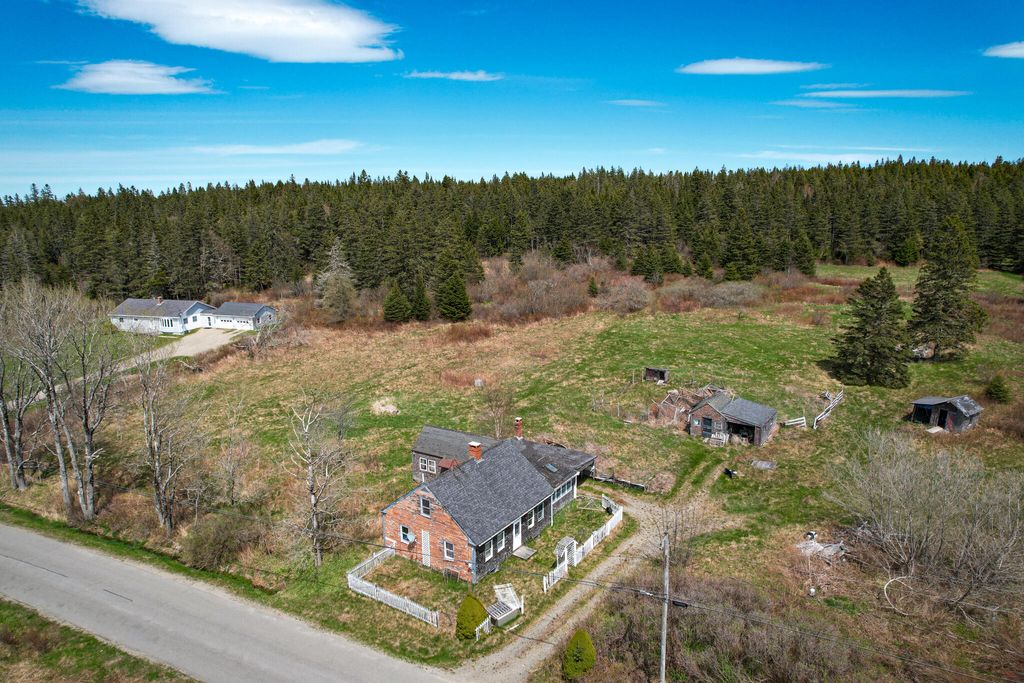 Photo of 232 Little Machias Road, Cutler, ME 04626 (MLS # 1662275)