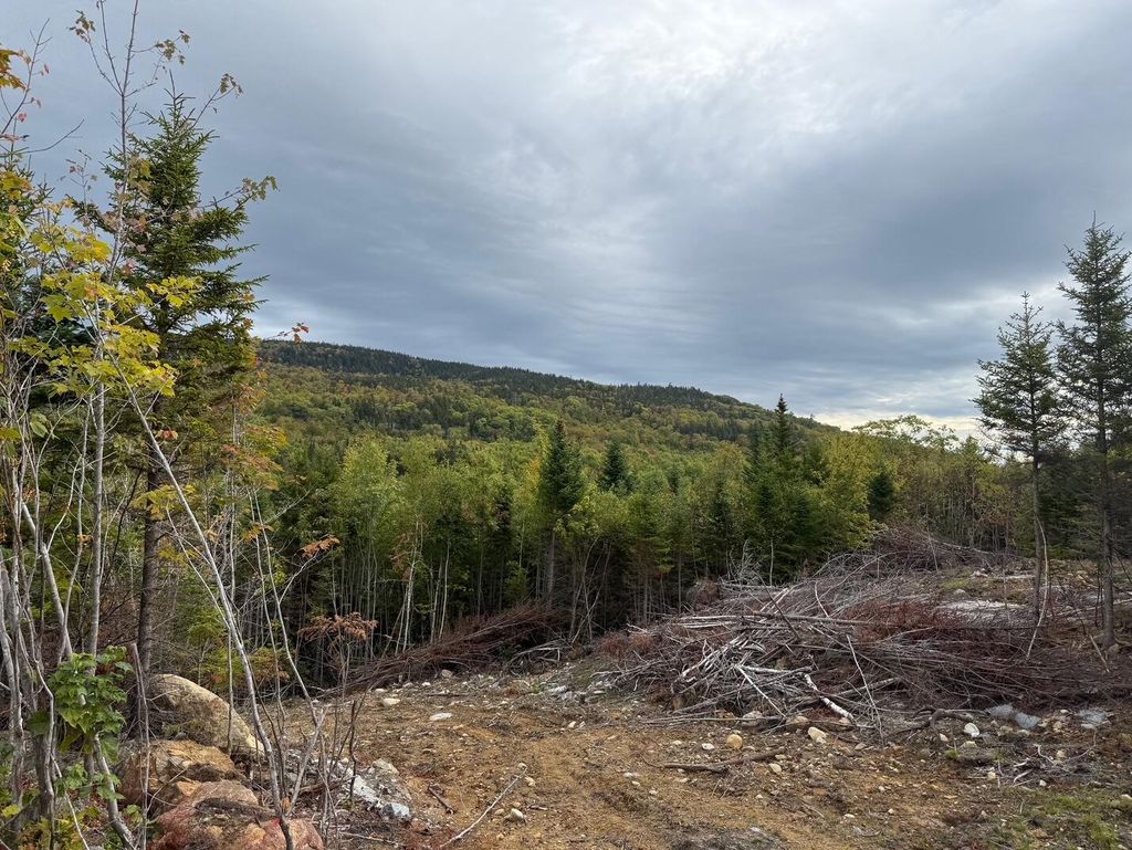 Photo of 28 Adrian&#39;s Way, Kingfield, ME 04947 (MLS # 1639186)