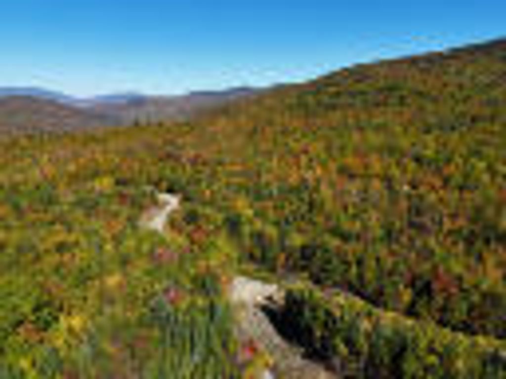 Photo of 28 Adrian&#39;s Way, Kingfield, ME 04947 (MLS # 1639186)