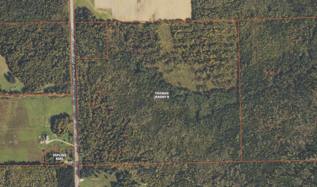 Photo of Lot 97A New Sweden Road, New Sweden, ME 04762 (MLS # 1638389)