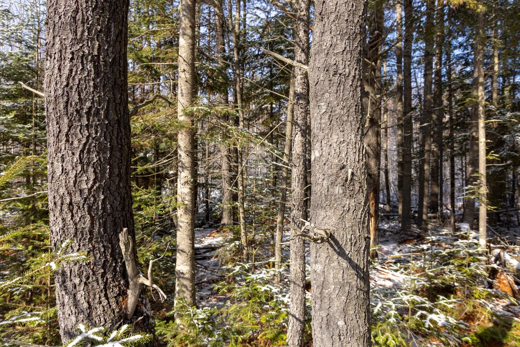 Photo of M11L3 Stud Mill Road, Milford, ME 04461 (MLS # 1654354)