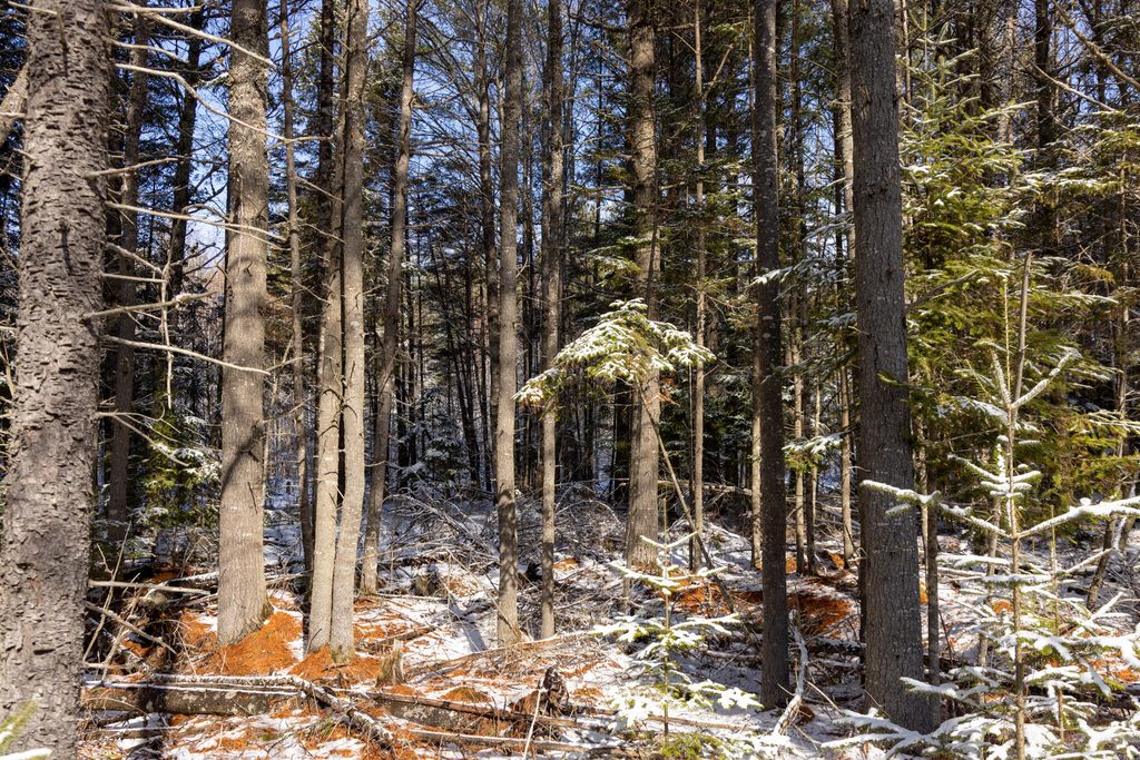 Photo of M11L3 Stud Mill Road, Milford, ME 04461 (MLS # 1654354)