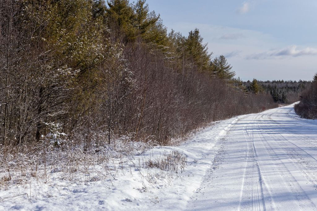 Photo of M11L3 Stud Mill Road, Milford, ME 04461 (MLS # 1654354)