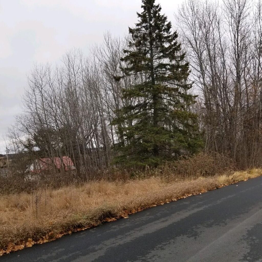 Photo of 10 Webster Street, Limestone, ME 04750 (MLS # 1636758)