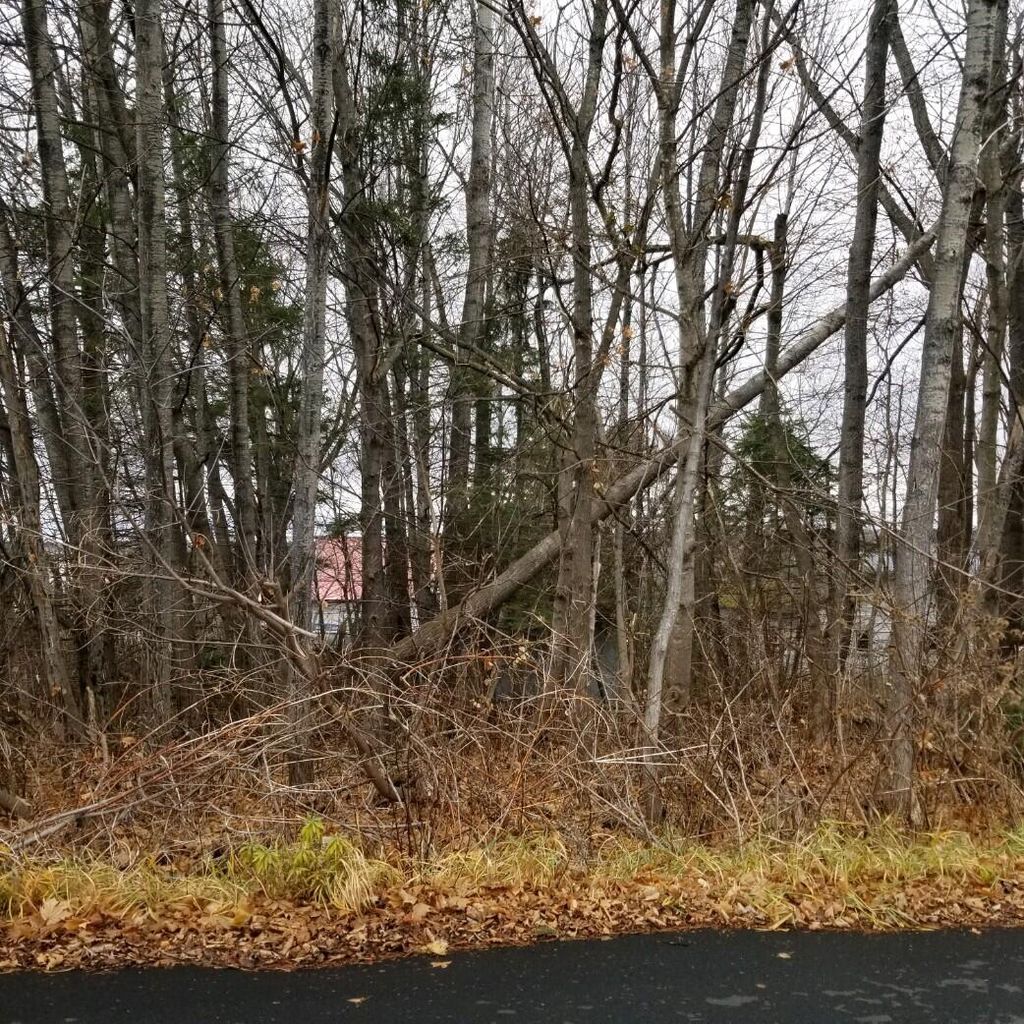 Photo of 10 Webster Street, Limestone, ME 04750 (MLS # 1636758)