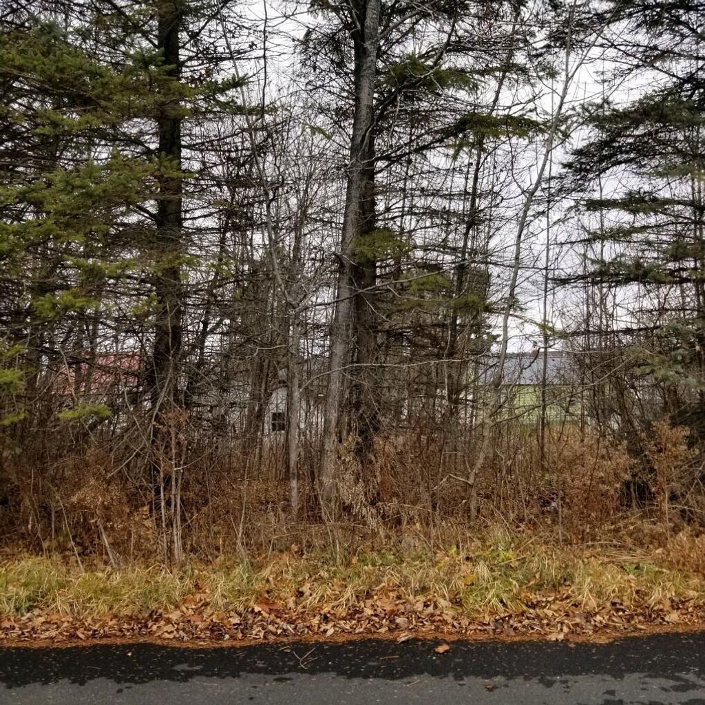 Photo of 10 Webster Street, Limestone, ME 04750 (MLS # 1636758)