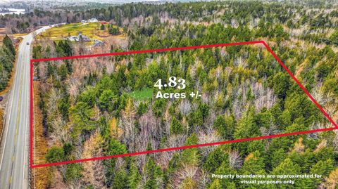 Photo of 0 Swamp Road, Gouldsboro, ME 04607 (MLS # 1660076)