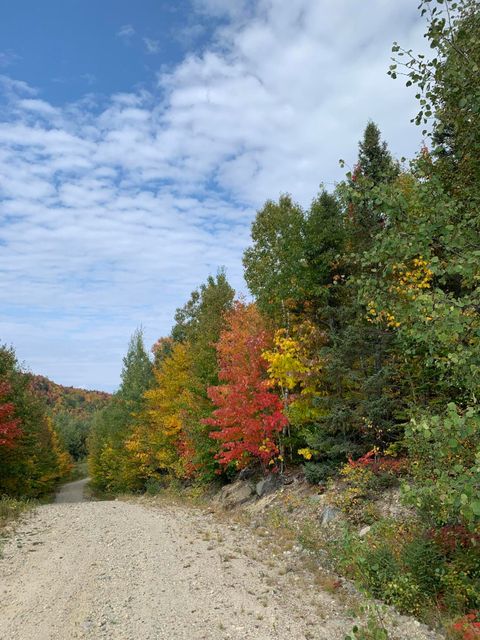 Photo of tbd Plumbago Mountain, Newry, ME 04261 (MLS # 1630579)