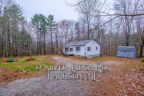 Photo of 19 Silver Birch Road, Harrison, ME 04040 (MLS # 1643514)