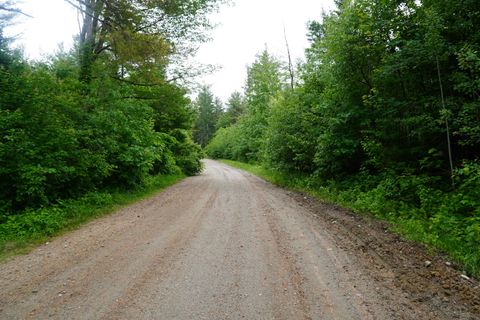 Tiny photo for Lot 47 Lord Brook Road, Grand Falls Twp, ME 04417 (MLS # 1646931)
