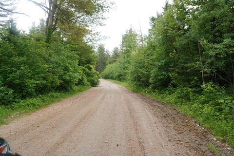 Tiny photo for Lot 47 Lord Brook Road, Grand Falls Twp, ME 04417 (MLS # 1646931)